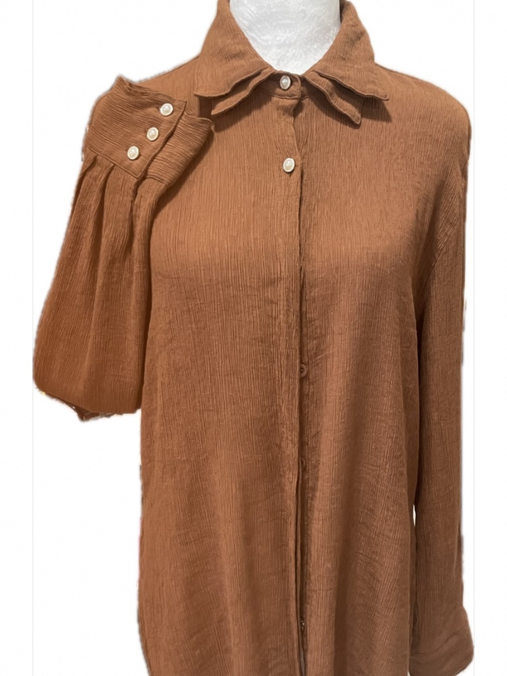 Double Collar Button down